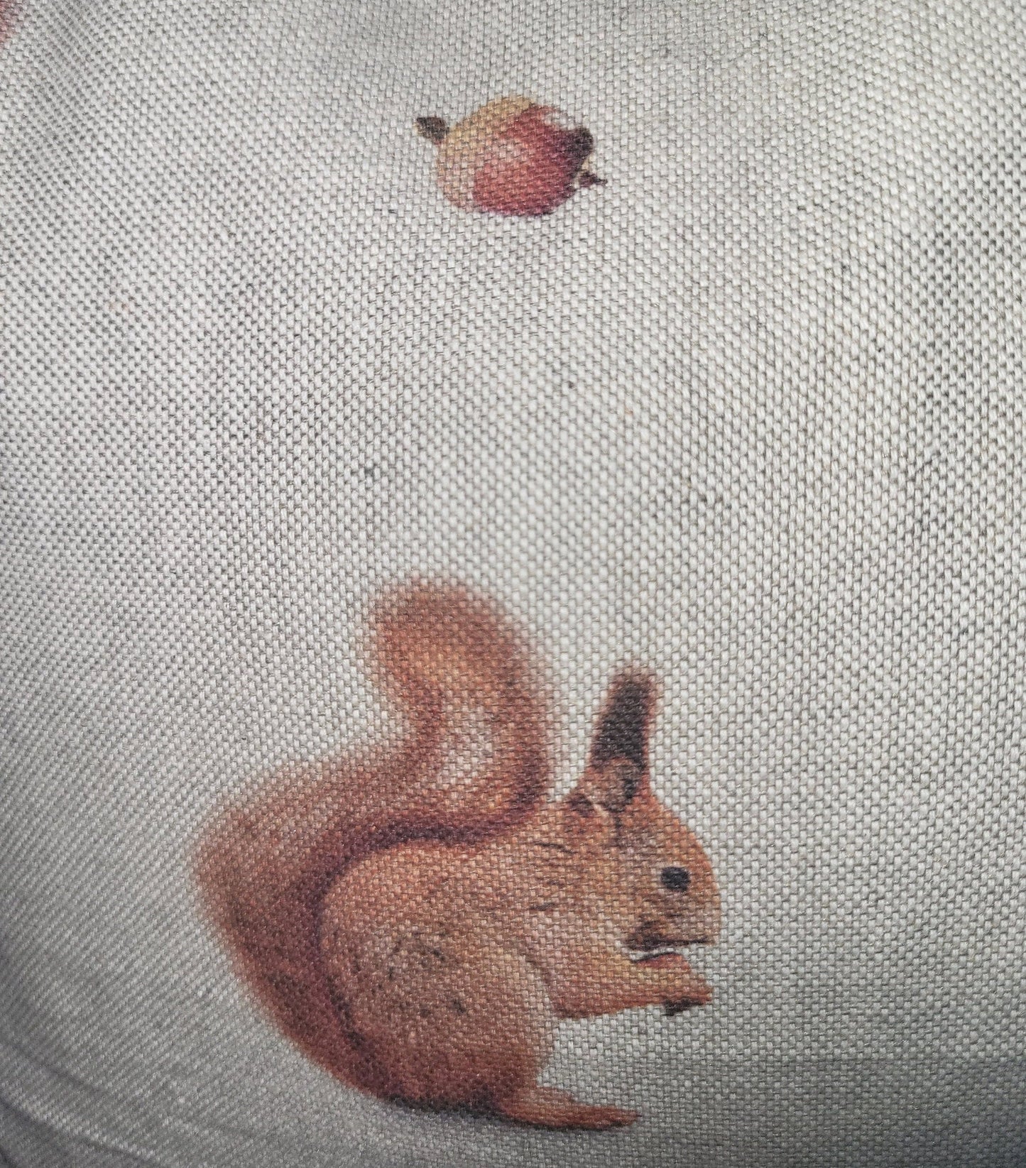 Red Squirrel Print Cotton Cushion: Animal Lover Gift, Summer Decor