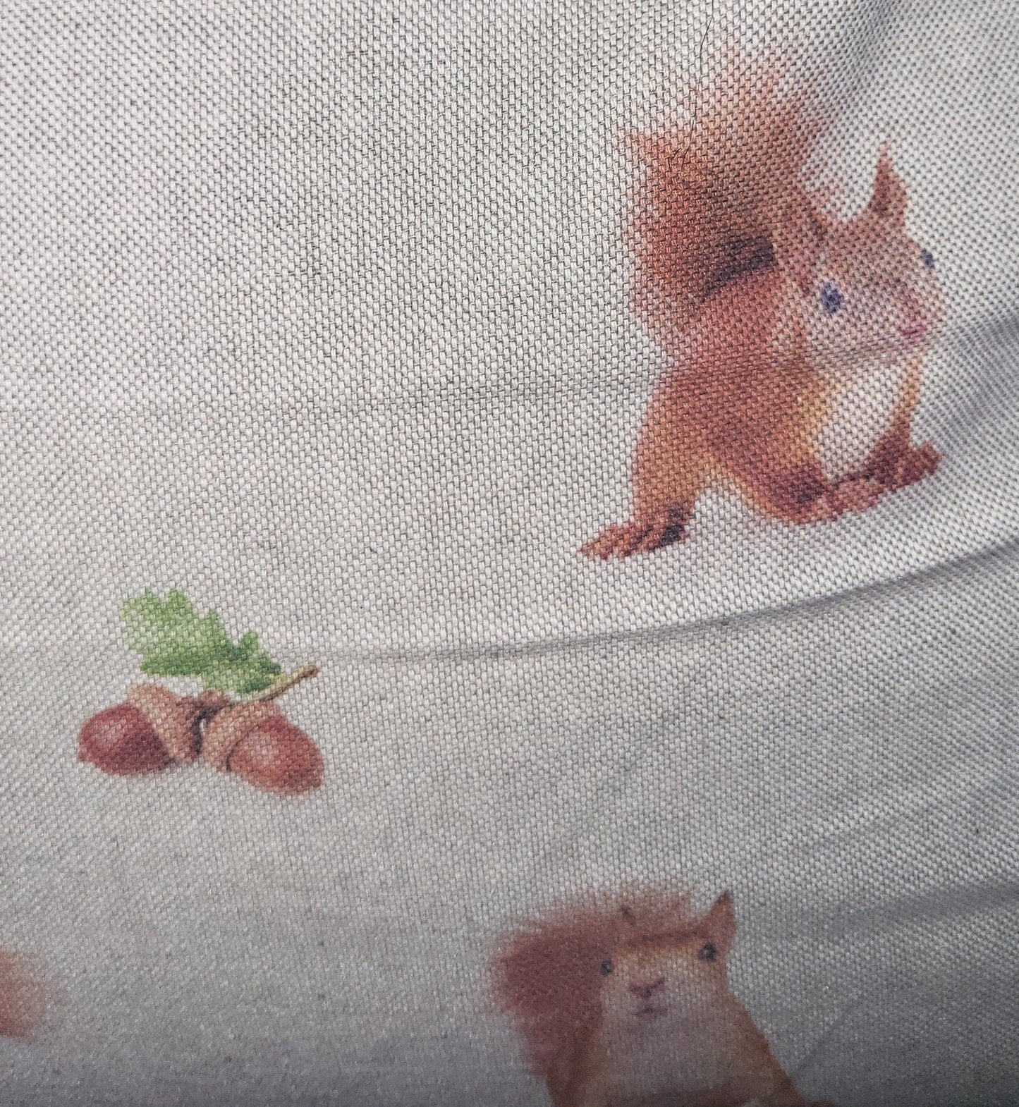 Red Squirrel Print Cotton Cushion: Animal Lover Gift, Summer Decor