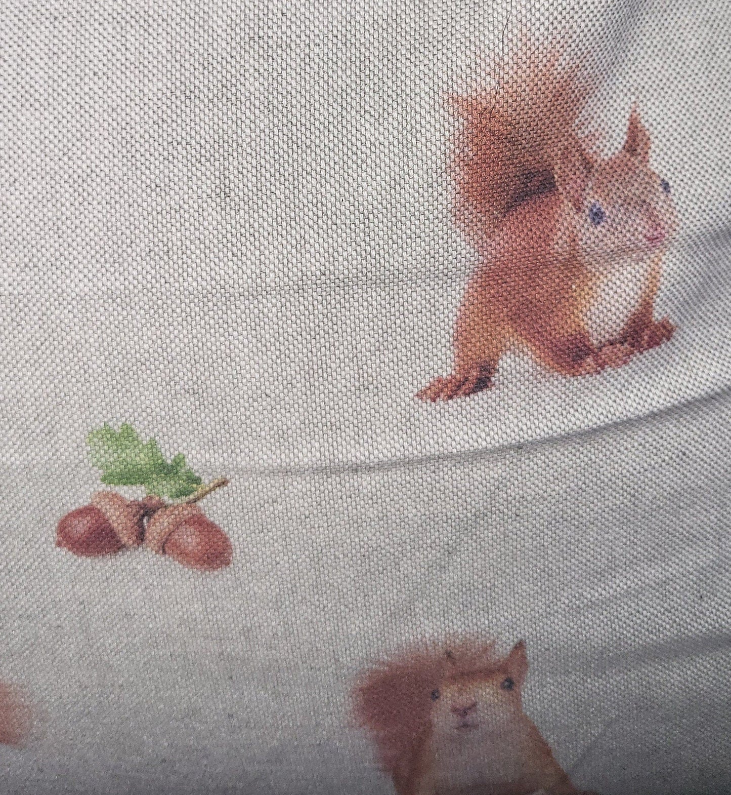 Red Squirrel Print Cotton Cushion: Animal Lover Gift, Summer Decor - KJ Designs