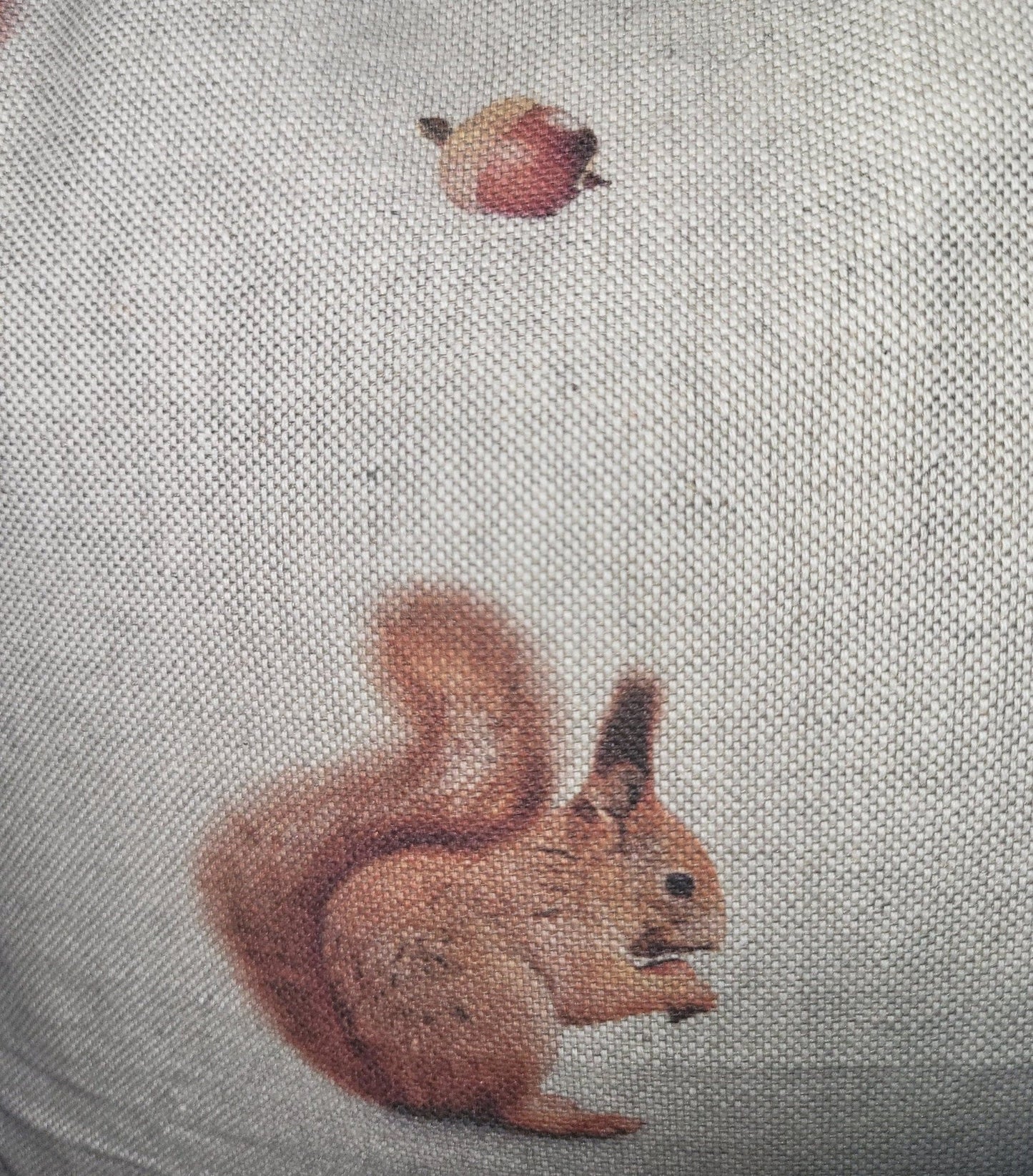Red Squirrel Print Cotton Cushion: Animal Lover Gift, Summer Decor - KJ Designs