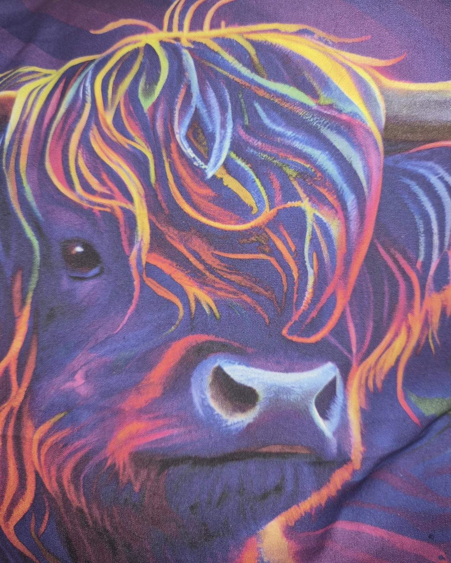 Vibrant Highland Cow Cushions | Colourful Scottish Accent Pillows (30x30cm) - KJ Designs