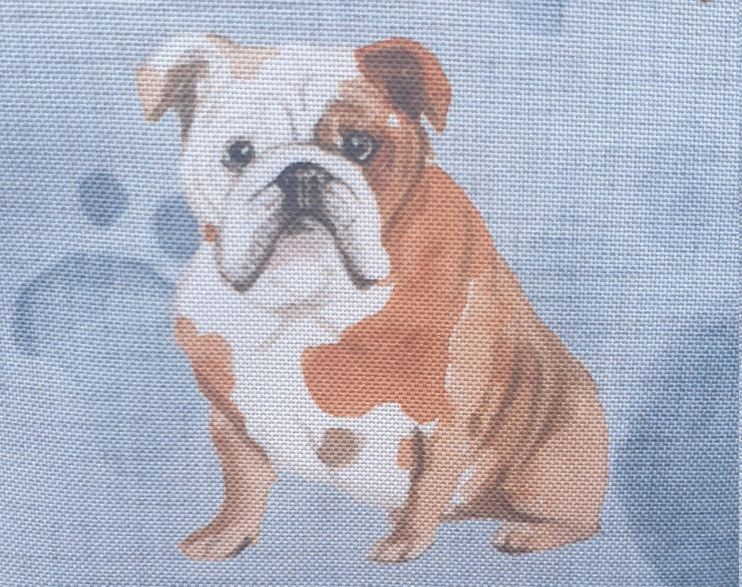 Water-Resistant Dog Print Outdoor Cushion: Recycled Insert (32cm) - KJ Designs